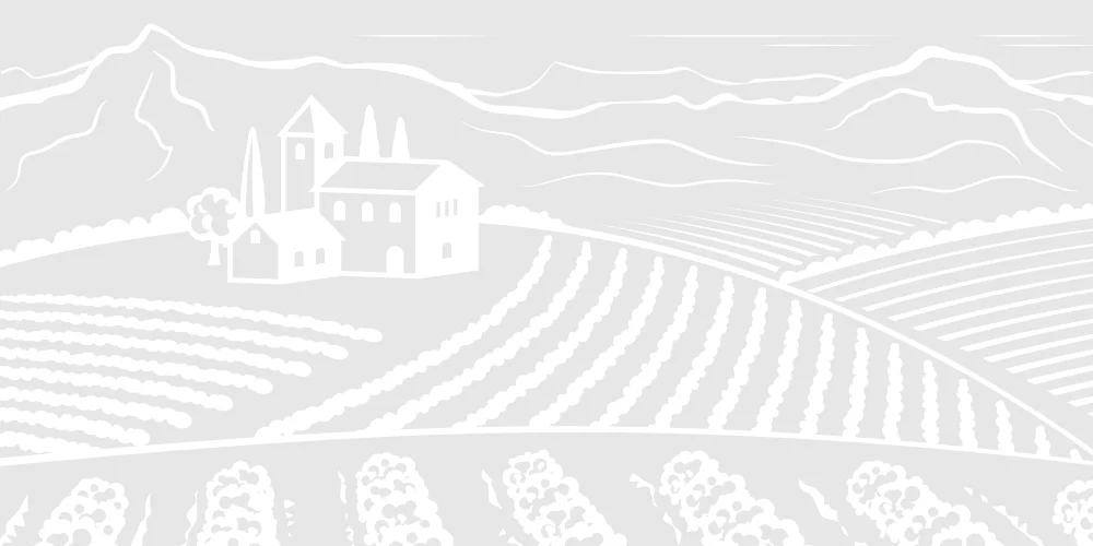 Image projet Château « La Fleur Milon »